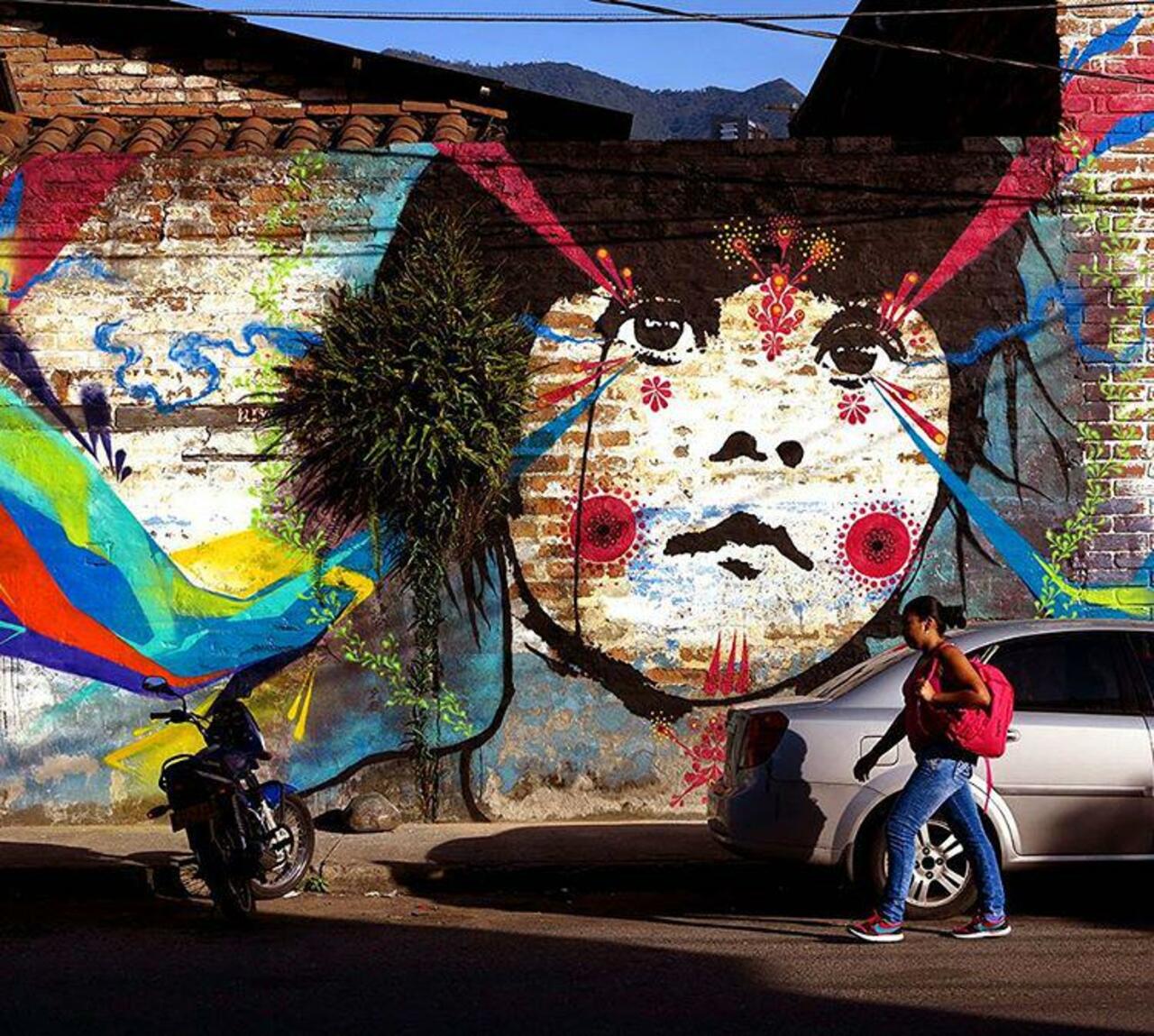 Something new from Stinkfish in Medellin, Colombia. #StreetArt #Graffiti #Mural http://t.co/vhhSEAEhaF