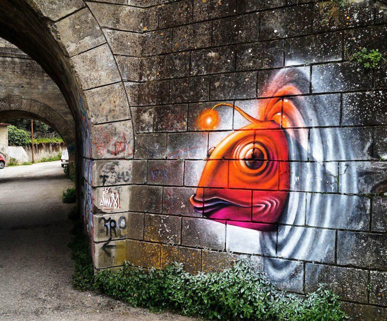RT @niumestreetart: Cosmic fish from outer world. Discover more #streetart pieces: http://bit.ly/CosmicFish #graffiti http://t.co/JaBF8EKnhJ