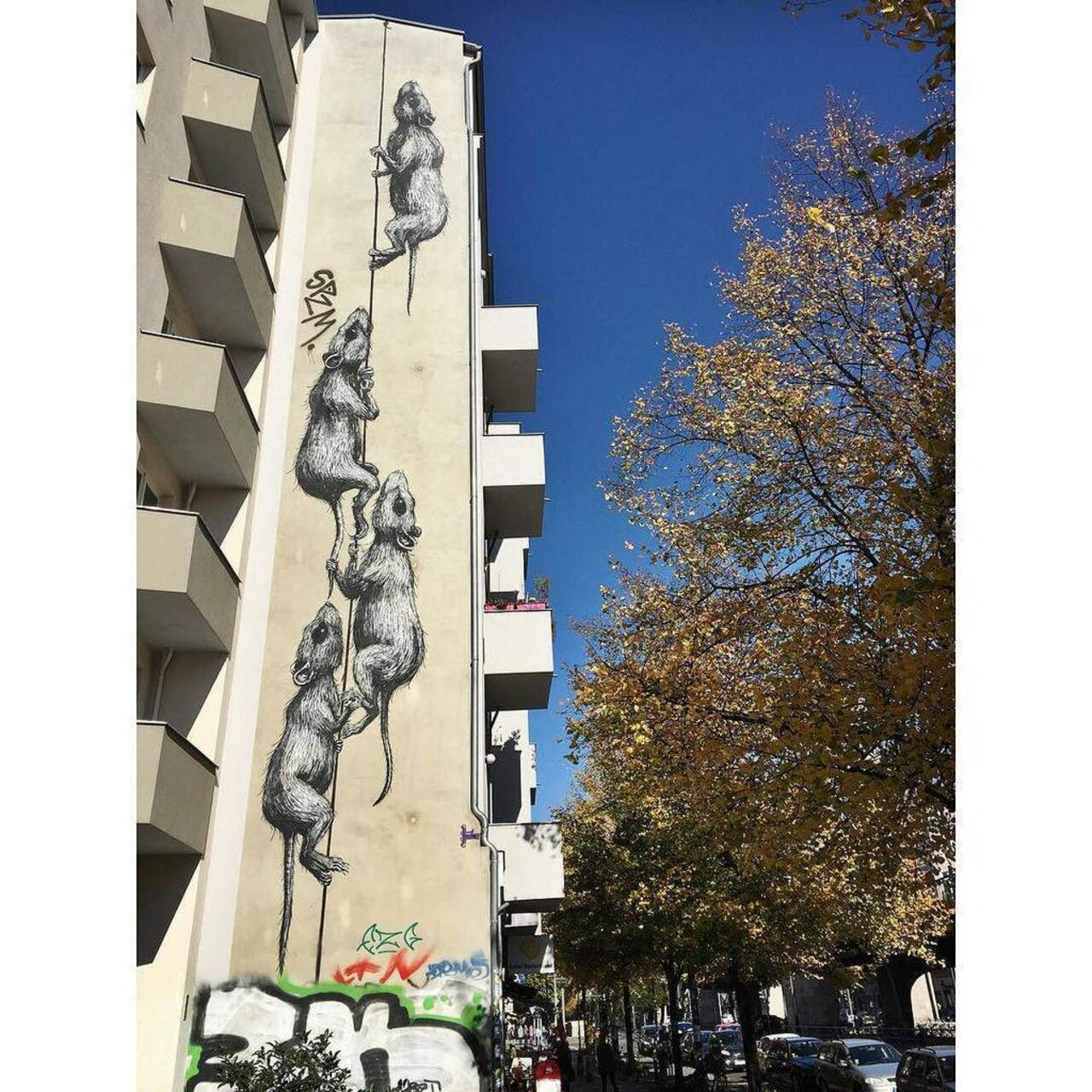 RT @StArtEverywhere: RAT 
#streetart #streetartberlin #wall #wallart #graffiti #berlin #dubistsowunderbar #urbanstreetart #art #prenzlau… http://t.co/4U7F0zyWcn