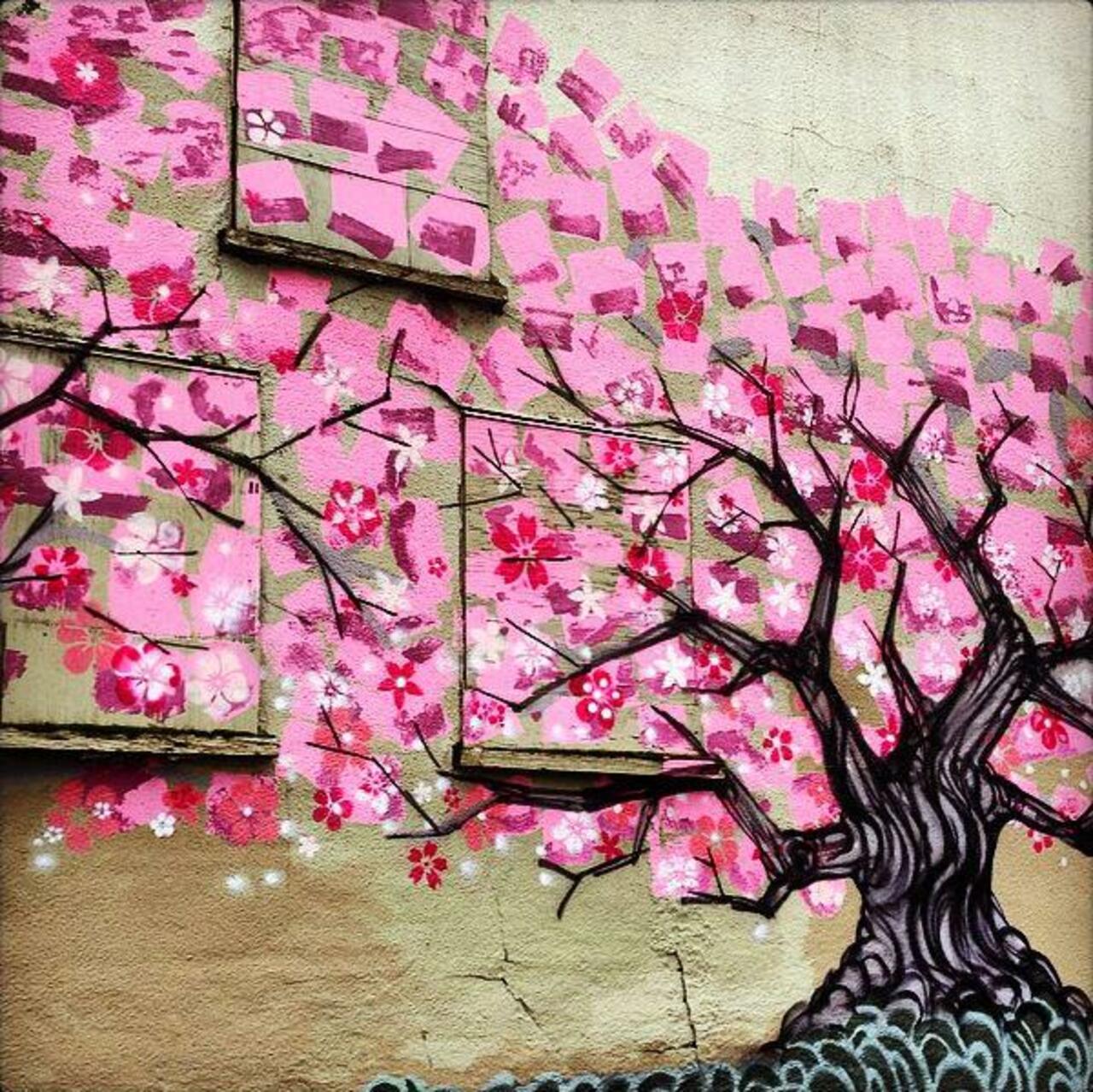 Urban Blossoms •  #streetart #graffiti #sakura #art #funky #dope . : http://t.co/ehglmtxoM8