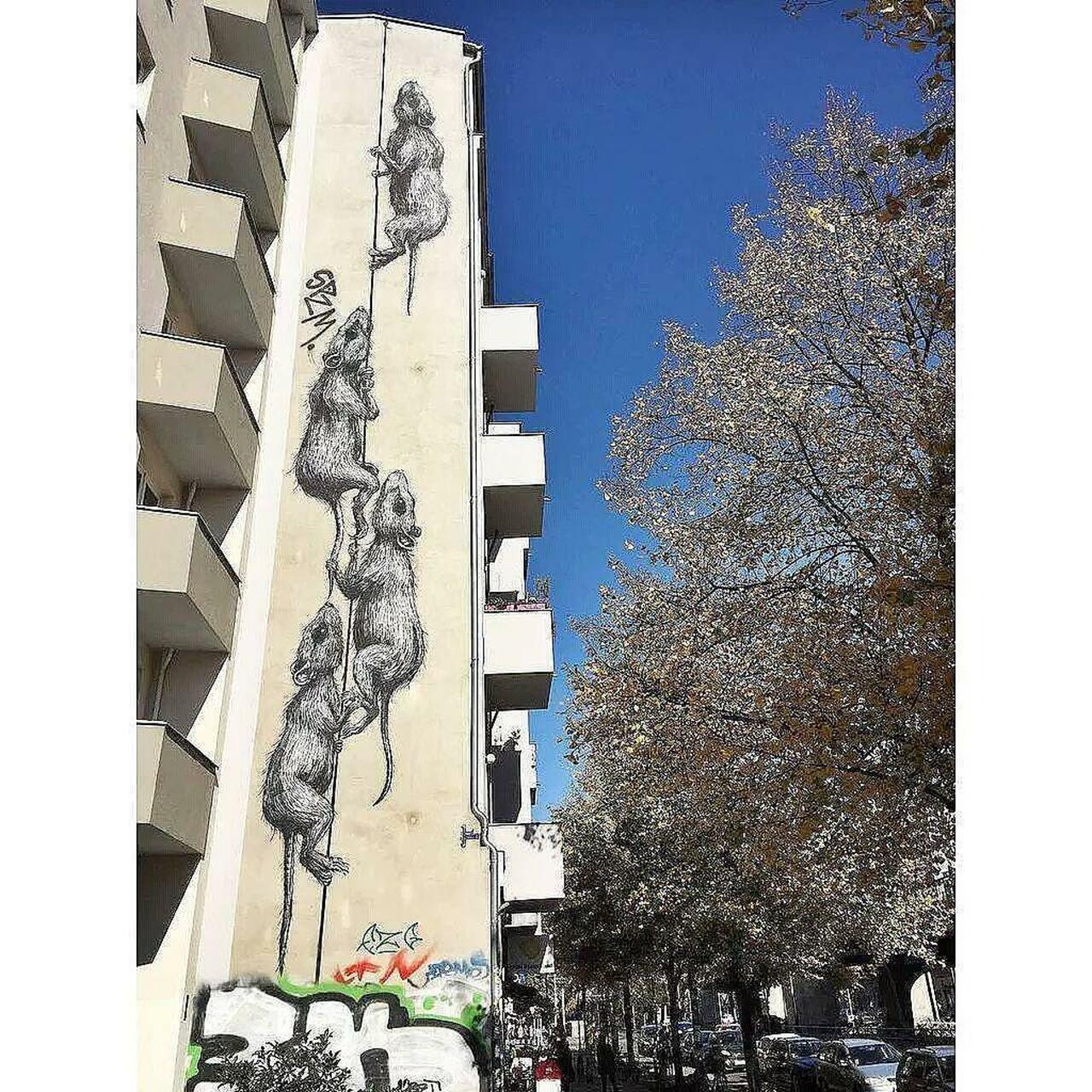 RAT 
#streetart #streetartberlin #wall #wallart #graffiti #berlin #dubistsowunderbar #urbanstreetart #art #mural by… http://t.co/JK2DOZCly4