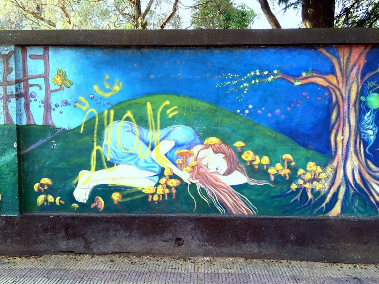 #Graffiti de hoy: <La bella durmiente del bosque> calle 9, 66y67 #LaPlata #Argentina #StreetArt #UrbanArt #ArteUrbano http://t.co/N4RriuRvup