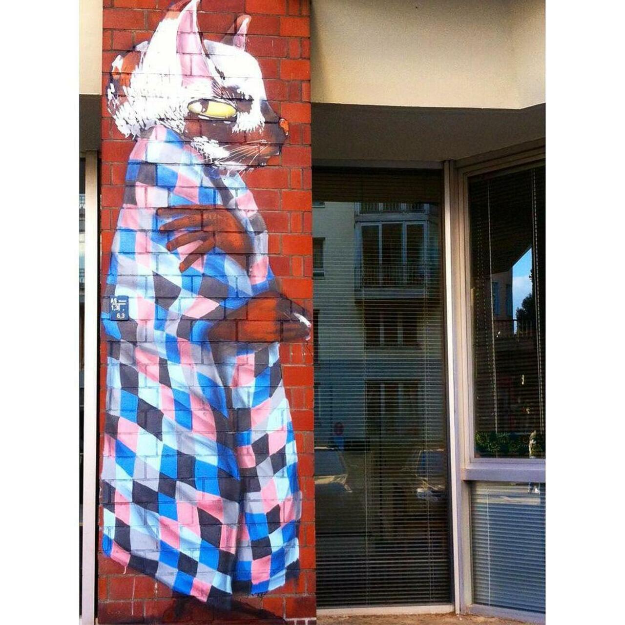 #ThiagoGoms  #cat @thiagogoms321 #streetart #urbanart #graffiti #streetartberlin #stencil #sprayart #suburb #subur… http://t.co/CxNJfbW8tF