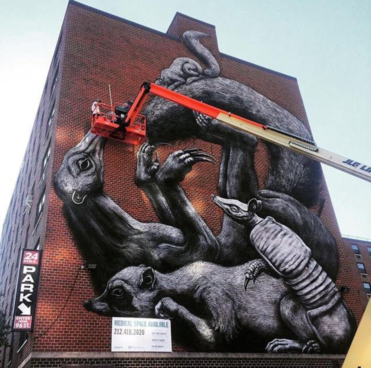 Street Art in progress by ROA in NYC

#art #graffiti #mural #streetart http://t.co/iGCmfhyhVr