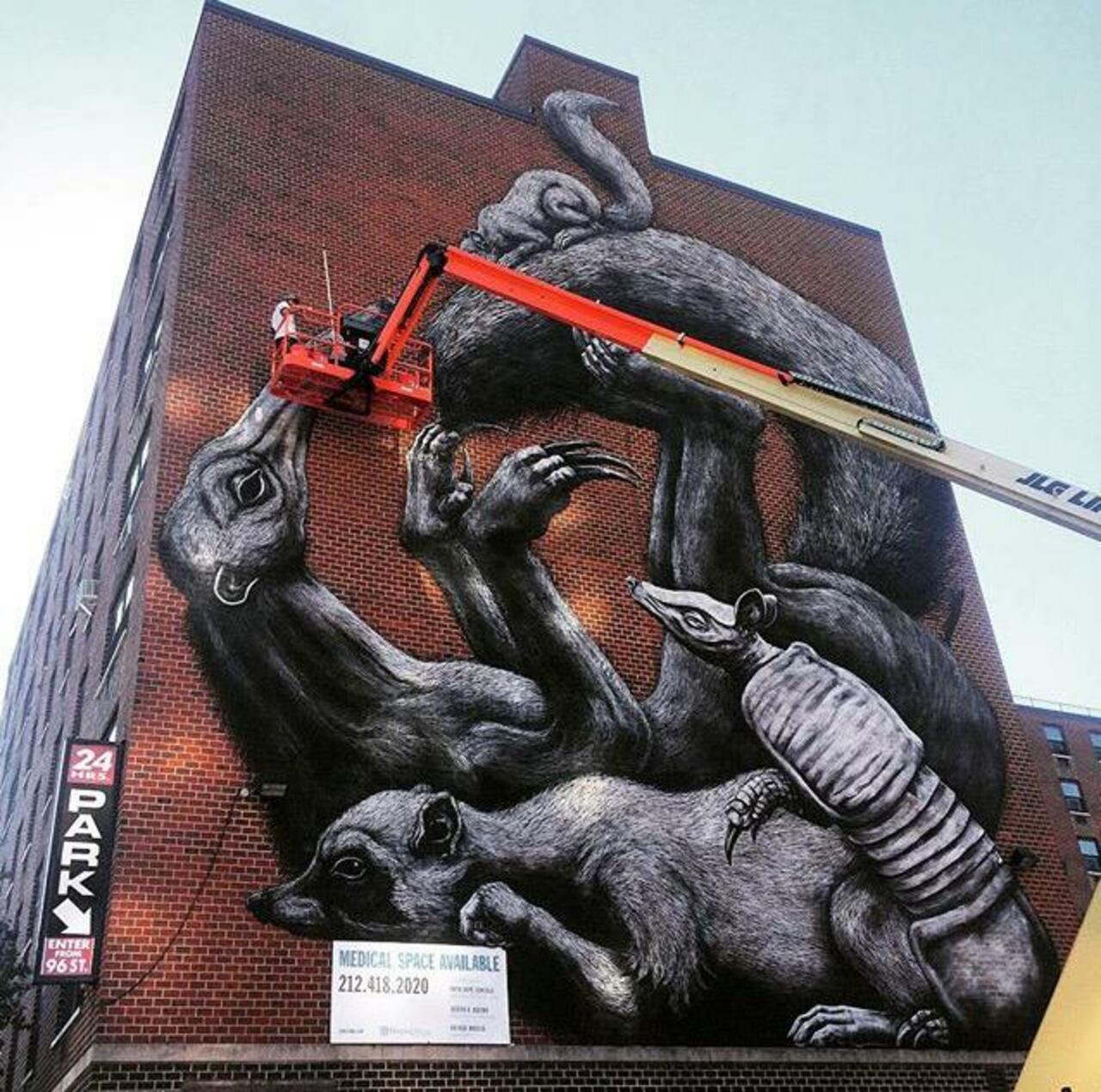 Street Art in progress by ROA in NYC

#art #graffiti #mural #streetart http://t.co/Dmyl5Oy5aj