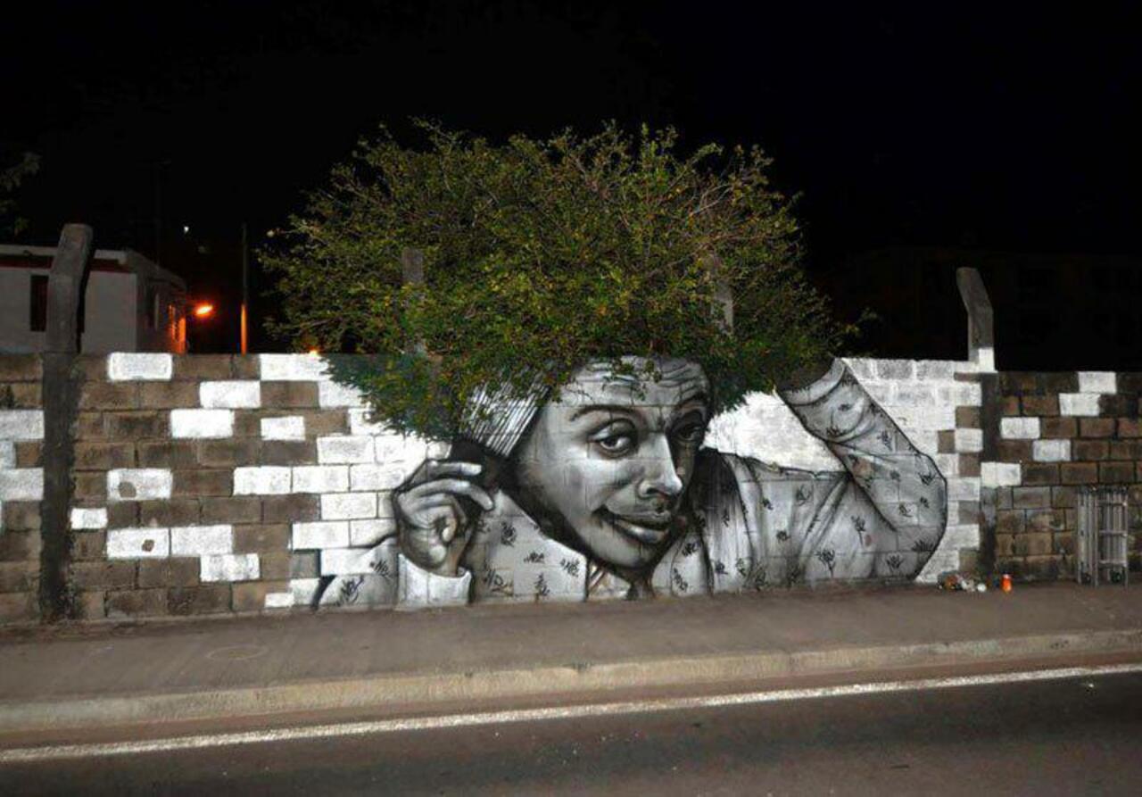 Brilliant! RT @WalkForTrees: #Trees are the new urban cool #streetart #graffiti #TreeLove #greencity #sustainability http://t.co/oUC6HJxFQ0