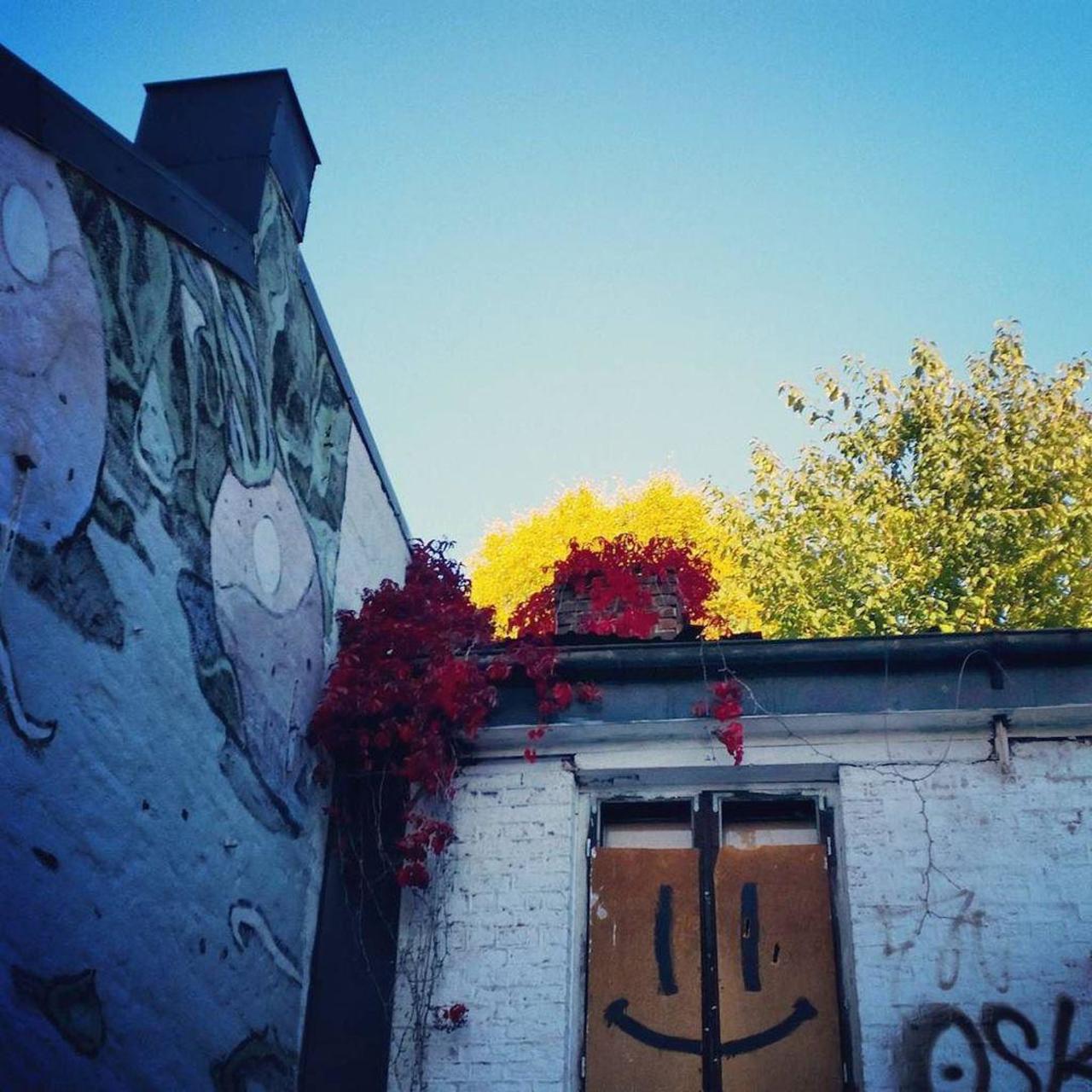 Smile to the world #gatekunst #gatekunstoslo #høstkanten #urbanart #streetart #streetartoslo #graffiti #fall #archi… http://t.co/2EqH6sRZHv