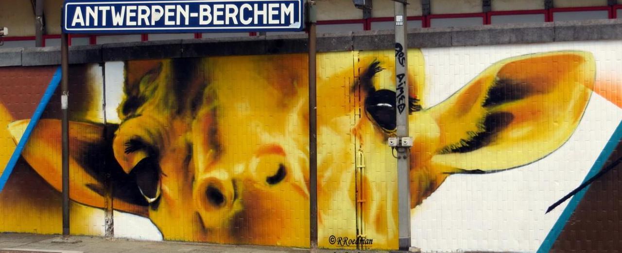 RT @RRoedman: #streetart #graffiti #mural #lgiraffe on station #Berchem/ #Antwerp from #Cazn ,2 pics at http://wallpaintss.blogspot.nl http://t.co/gqI9FlrRb1