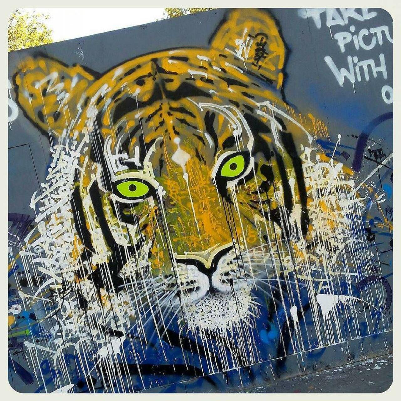 #streetart in #paris - flash the tiger in république !

#streearteverywhere #streetart #graffiti #urbanwalls #urban… http://t.co/SoXiEXtwuS