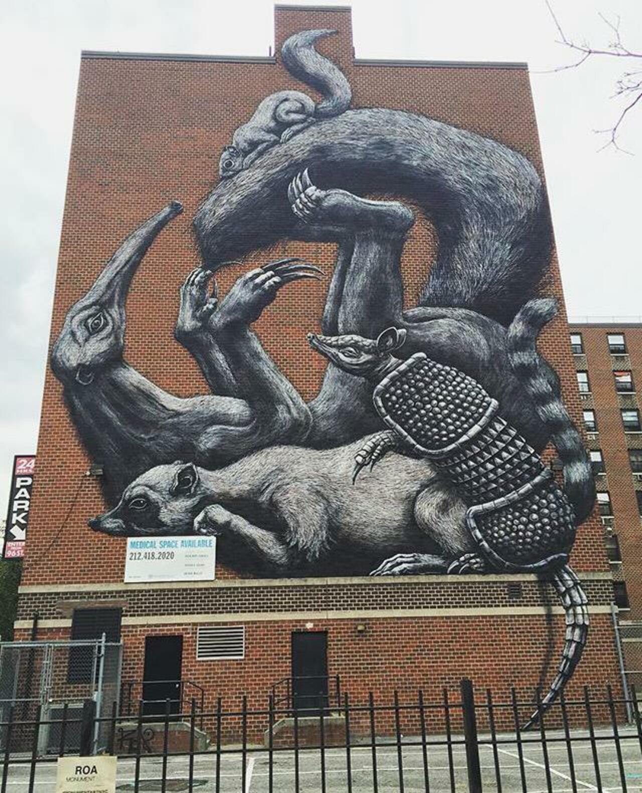 The completed new large scale Street Art wall by ROA in NYC

#art #graffiti #mural #streetart http://t.co/rv14IgauIy