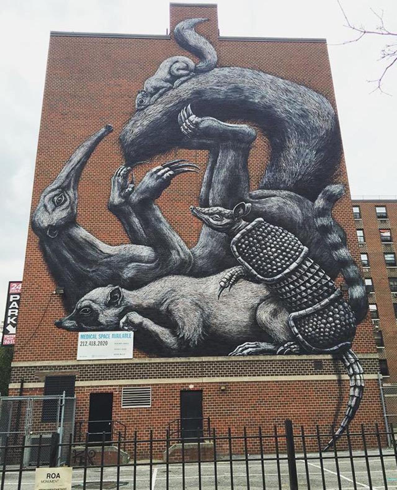 The completed new large scale Street Art wall by ROA in NYC

#art #graffiti #mural #streetart http://t.co/xQBCWcJudB