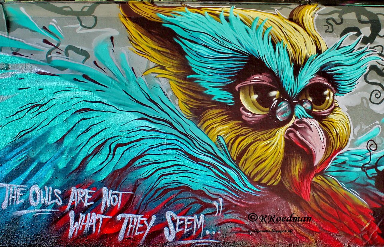 #streetart #graffiti #mural #owl in  #Eindhoven ,2 pics at http://wallpaintss.blogspot.nl http://t.co/hyllEtUj3R