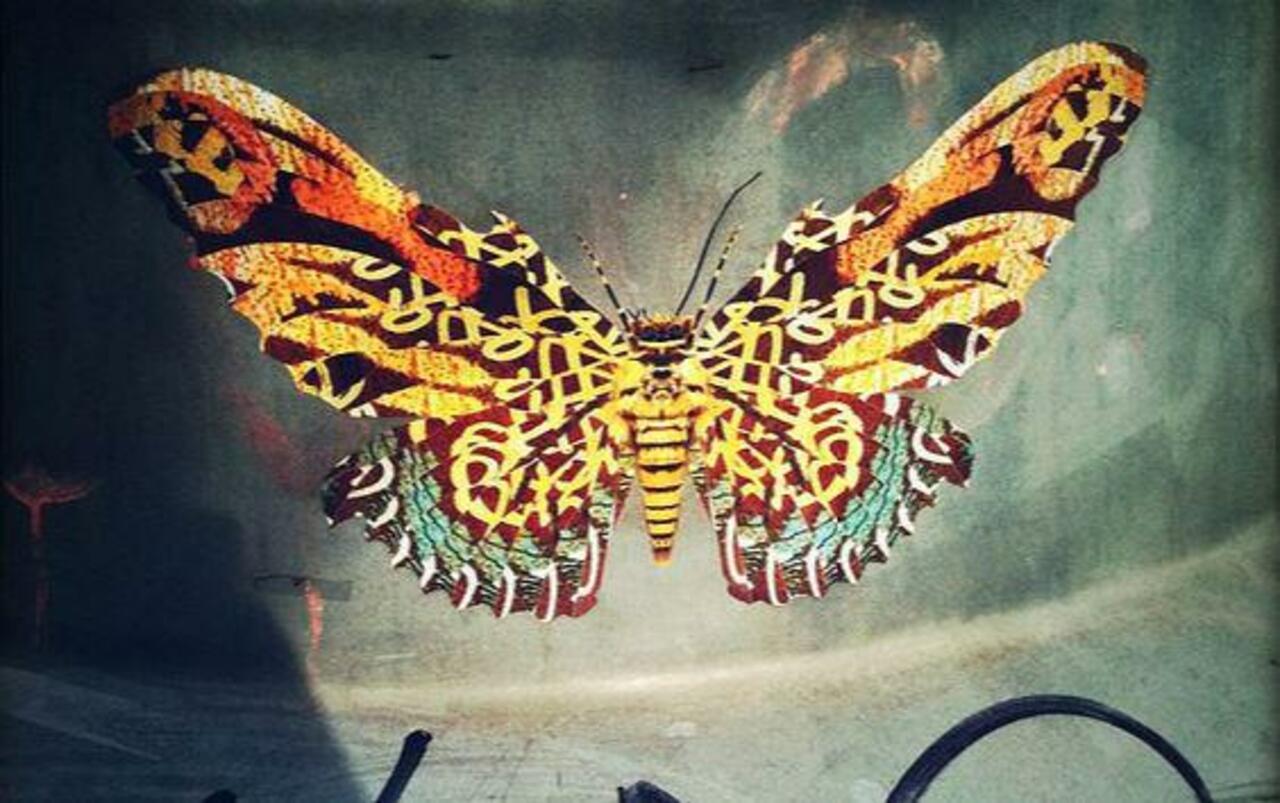 RT @5putnik1: Last of the Butterflies •  #streetart #graffiti #art #funky #dope . : http://t.co/ld0iiJLZQk