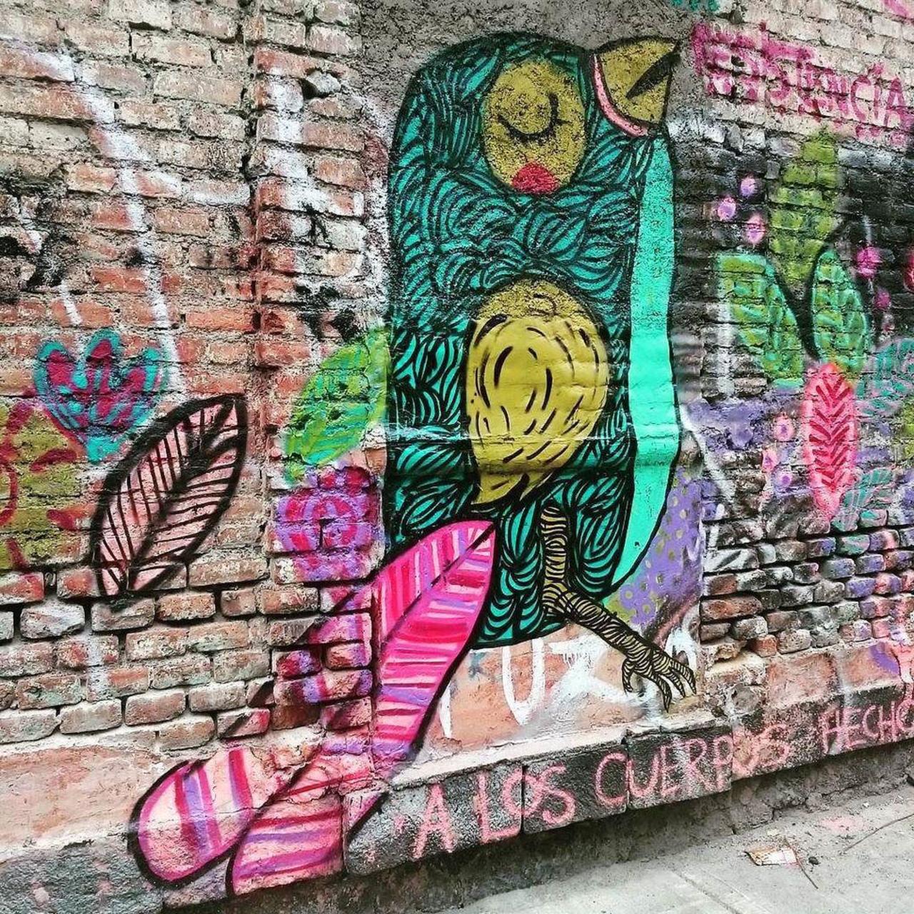 #streetart #arte #art #graffiti #cdmx #streetart_chilango #streetartmexico by eltipouy http://t.co/bYuPT8eVcn