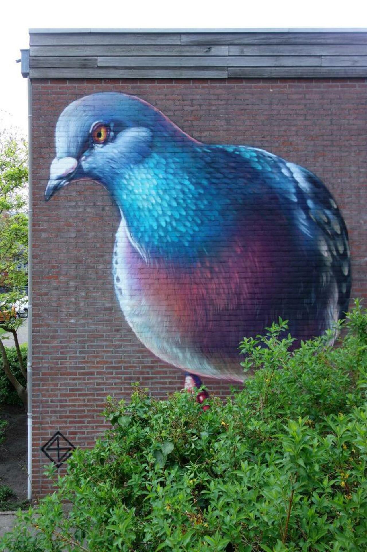 https://goo.gl/t4fpx2 RT GoogleStreetArt: Street Art by Super A 

#art #graffiti #mural #streetart http://t.co/4dxsUvOoG8