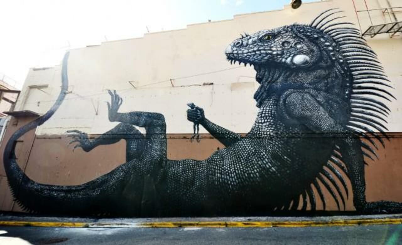 RT @DavidBonnand: ..., 2012 #PuertoRico 
by #ROA (1975-....)
#streetart #graffiti #Art http://t.co/gVGVVJMDab