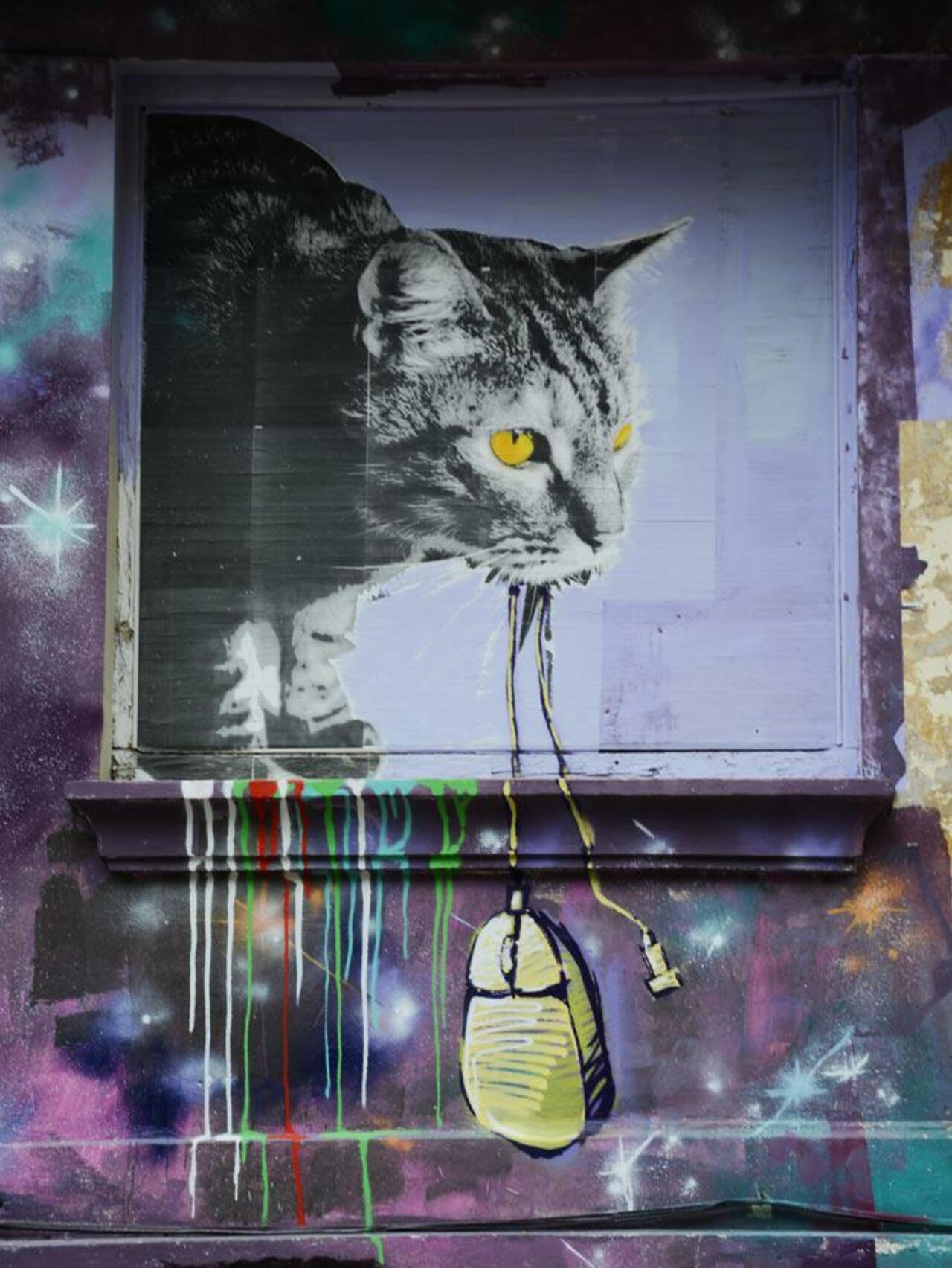 Cat w/ mouse. Pamplona, Spain
#streetart #urbanart #graffiti http://t.co/v2mGXR2KEm