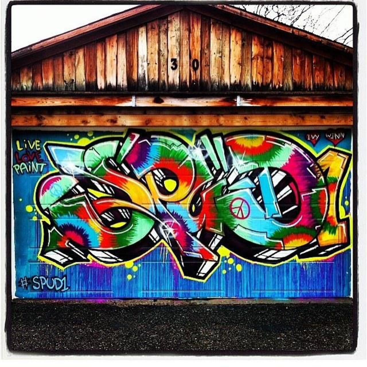 #graffitiporn #torontograffiti  #spud1 #graffiti  #spudbomb  #mtn #mtncans #mtncolors  #streetart  #spud1OTM #stree… http://t.co/wKetWqwqqz