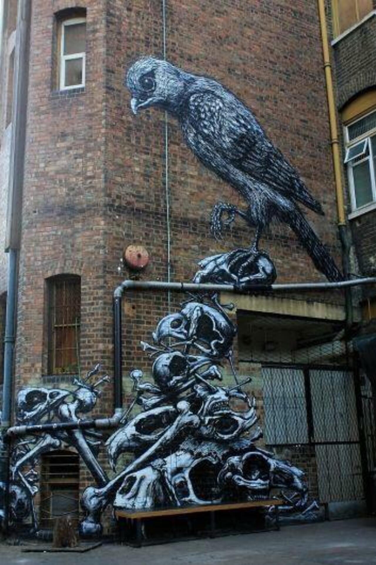 RT @oldskull: El arte de ROA y Phlegm por las calles de Londres #streetart #graffiti http://t.co/QeqL5B7XyG