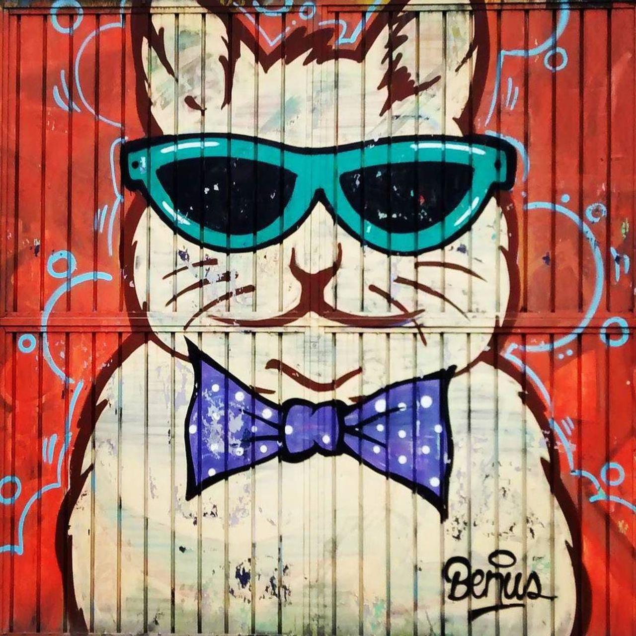 
#gato #cat #neko
#graffiti #grafite #streetart 
#streetartmexico #mexicocity by vherner http://t.co/8Ulp7xlB5S