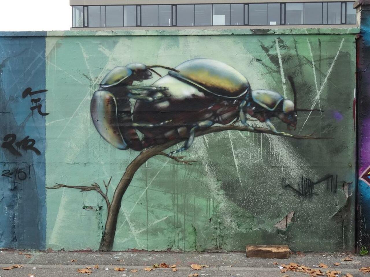 Graffiti Karlsruhe, Germany 
#streetart #art #urbanart #graffiti #karlsruhe https://t.co/U7V812aCUH