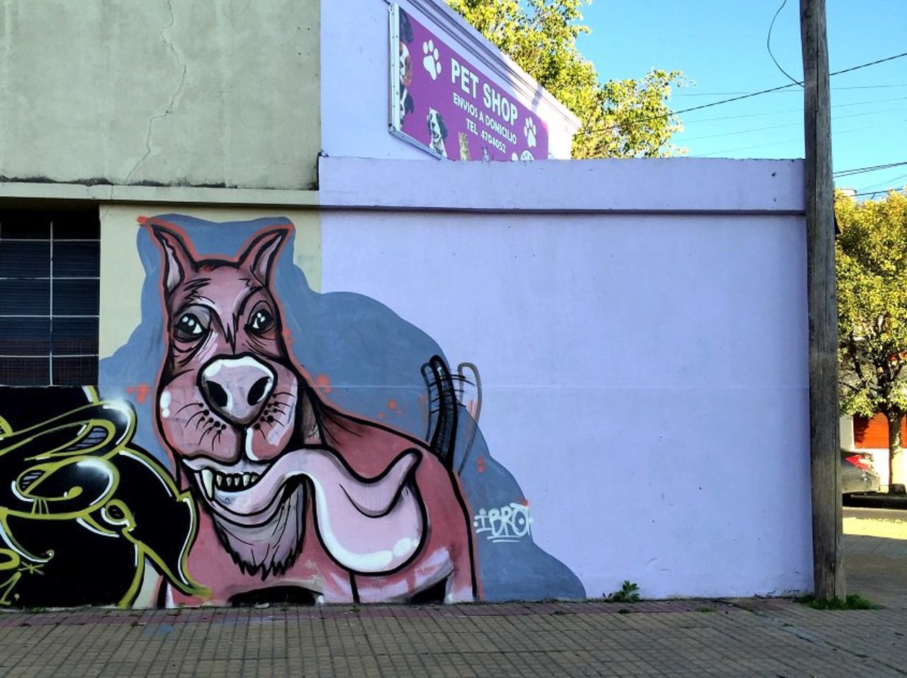 RT @DickieRandrup: #Graffiti de hoy: << Man’s best friend >> Diag. 76y46 #LaPlata #Argentina #StreetArt #UrbanArt #ArteUrbano https://t.co/geZ7lv2cJW