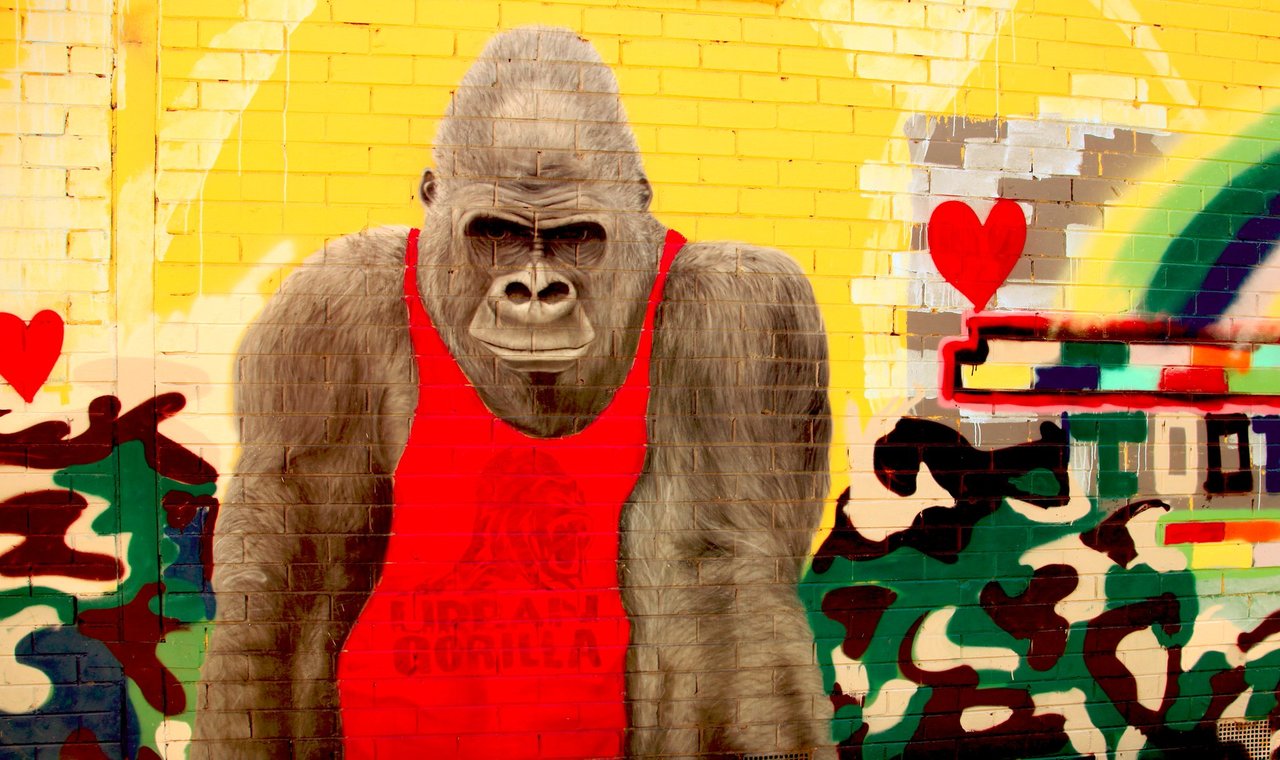 RT @Brindille_: #Streetart #urbanart #graffiti #mural "Urban Gorilla" in Brunswick, Melbourne, Australia. https://t.co/LvaTGTSgtw