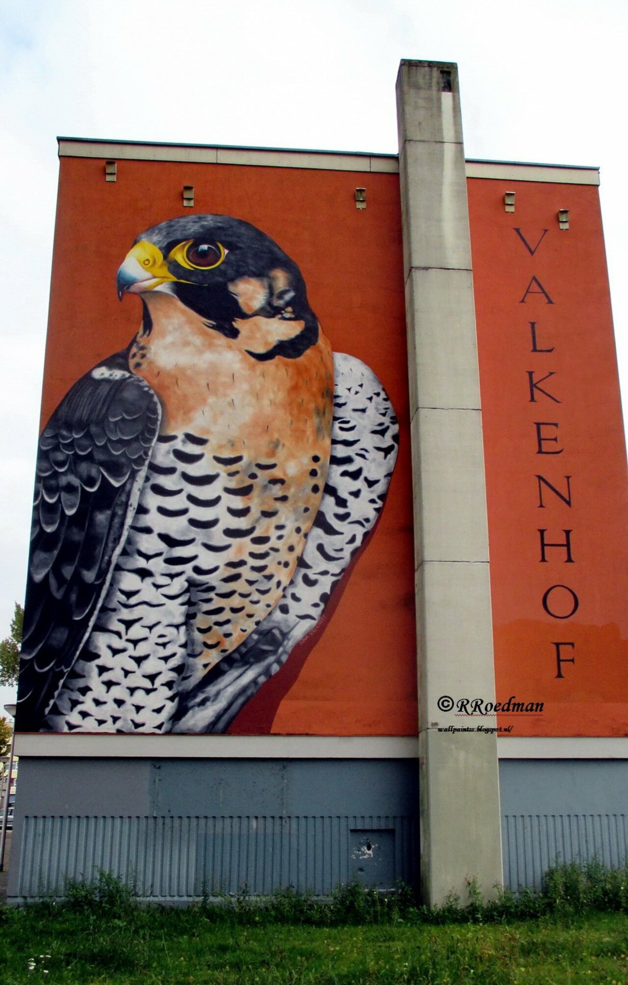 RT @RRoedman: #streetart #graffiti #mural falcon in  #CapelleAanDenIJssel  #netherlands ,2 pics at http://wallpaintss.blogspot.nl https://t.co/eVvY57fmT3