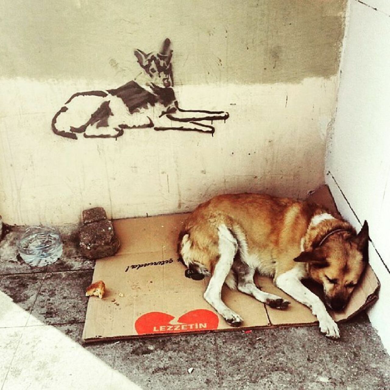 RT @StArtEverywhere: #tv_sa_animals2 #dsb_graff @rsa_graffiti #ingf@streetawesome #streetart #urbanart #graffitiart #graffiti #instagraf… https://t.co/1MqLsmBk29