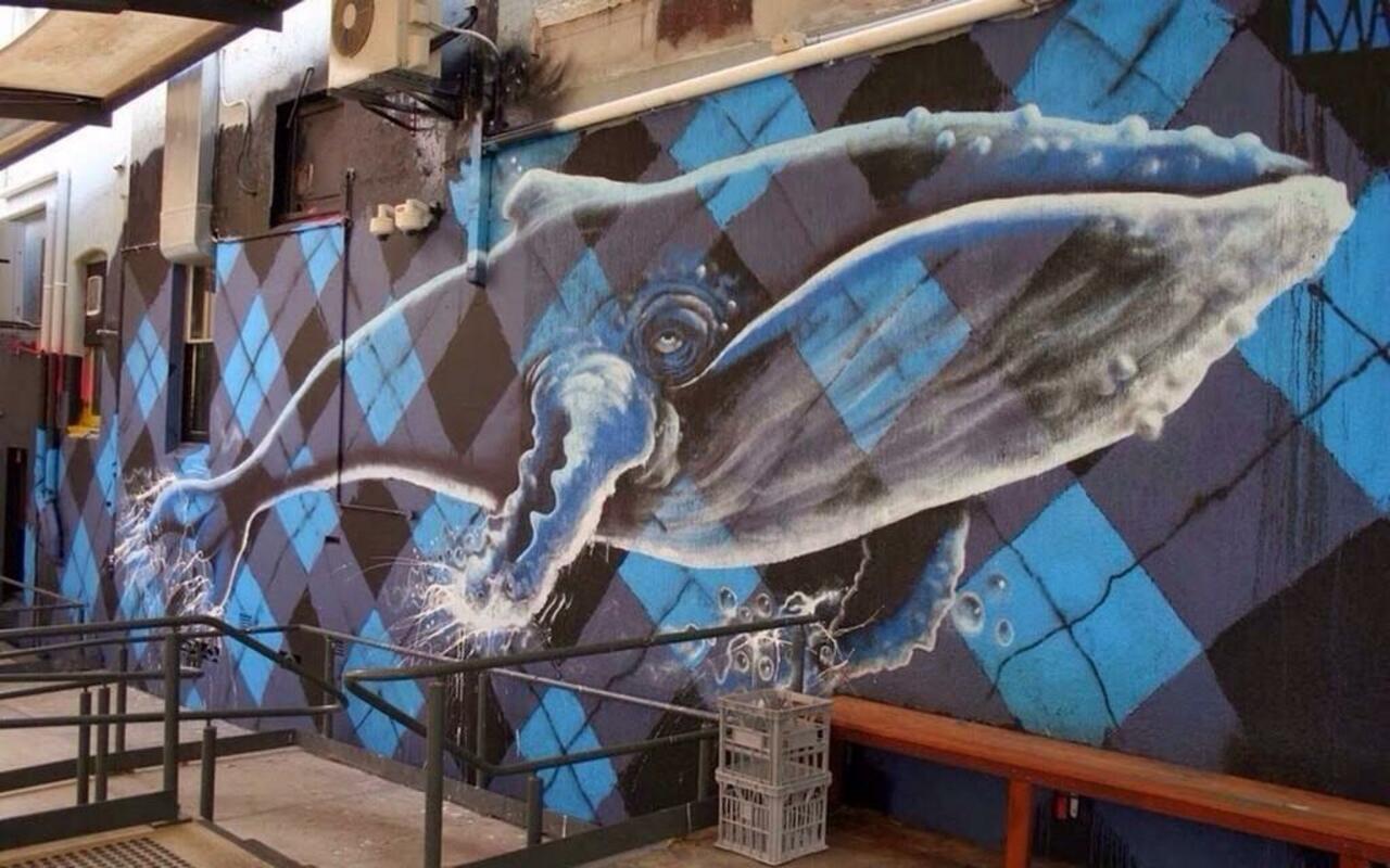 Artist Mike Makatron beautiful Nature in Street art piece, Australia #art #mural #graffiti #streetart https://t.co/JSlCIJlqHW