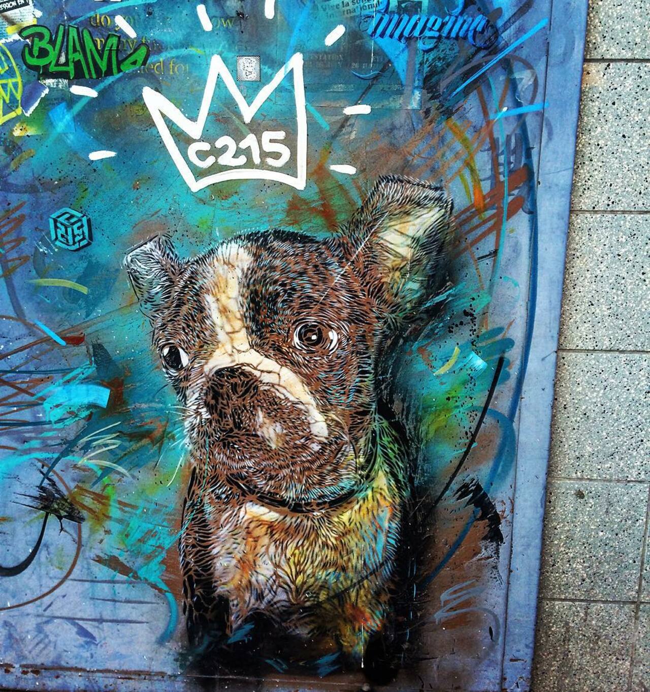 #Paris #graffiti photo by @julosteart http://ift.tt/1LPIjbI #StreetArt https://t.co/mZqqfFDRUJ