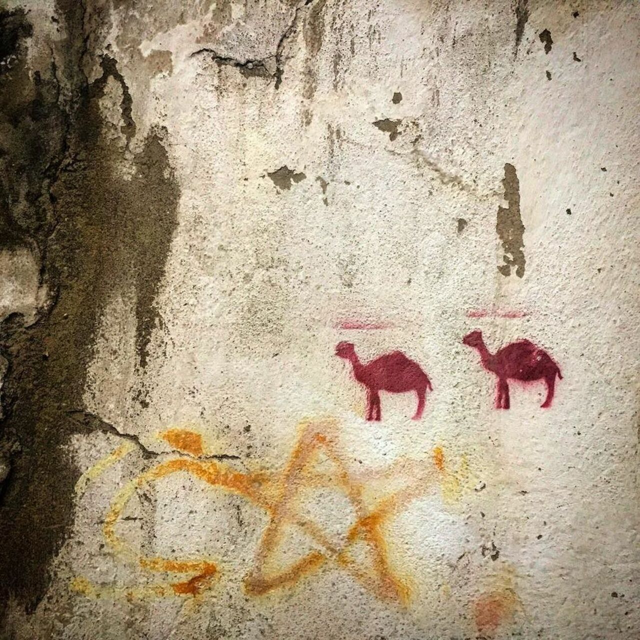 #Camel #graffiti #art #streetart #sanat #sokak #Istanbul #Turkey #türkiye #street https://t.co/rM9Jcccdnv