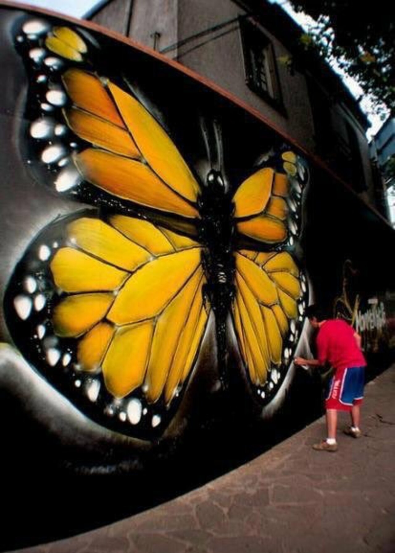 #butterfly #streetart by #FabioLopes #Brazil #switch #graffiti #bedifferent #art #arte https://t.co/mnHlZx1K6h
