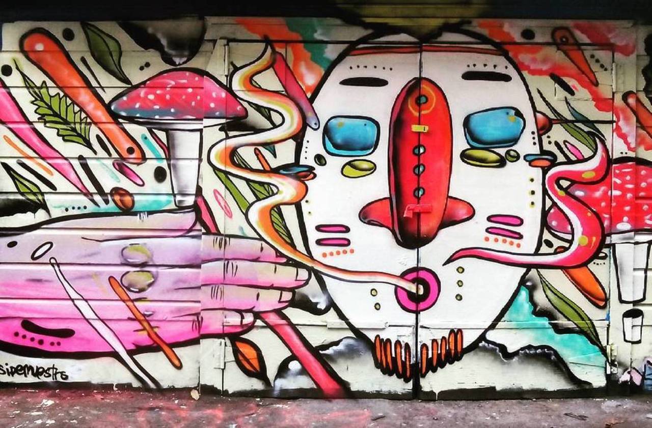Lillac alley, Mission district, San Francisco.
2015

#graffiti #streetart #streetartsf #sidemuestro #nature #dmt #m… https://t.co/mi2Q2yQcPh