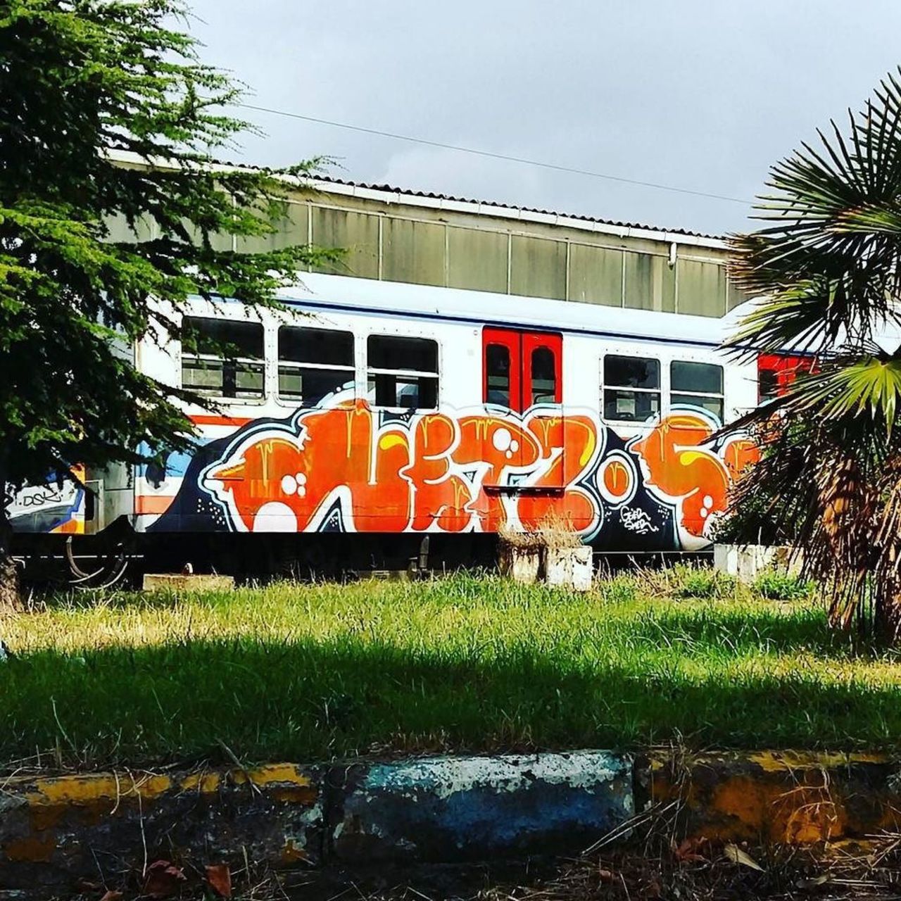 #train #dsb_graff @rsa_graffiti #ingf@streetawesome #streetart #urbanart #graffitiart #graffiti #instagraffiti #str… https://t.co/CF6O4SIgHc