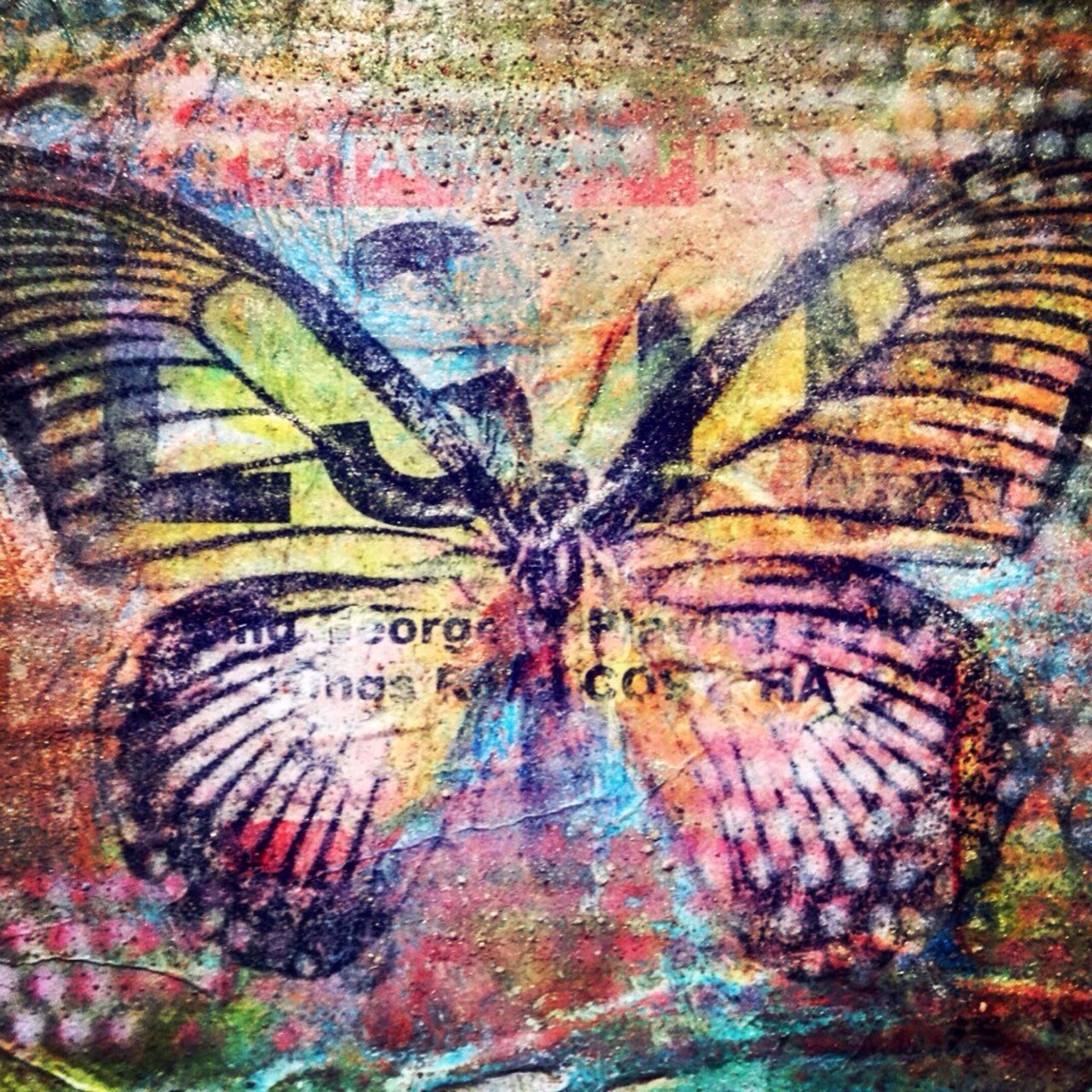 RT @MattM3Art: #Urban #Butterfly
#urbanart #urbanbutterfly #graffiti #streetart #spraypaint #stencil #mixedmedia #artist #mackman https://t.co/HVUqX2zZqC