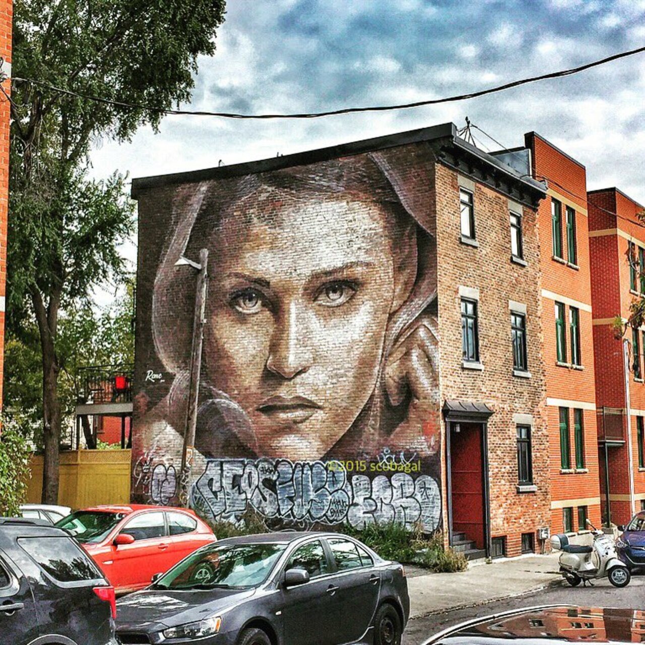 The Walkflower | #Montreal #art #graffiti #streetart #streetphotography https://t.co/NzqkNrV7Dl https://goo.gl/t4fpx2