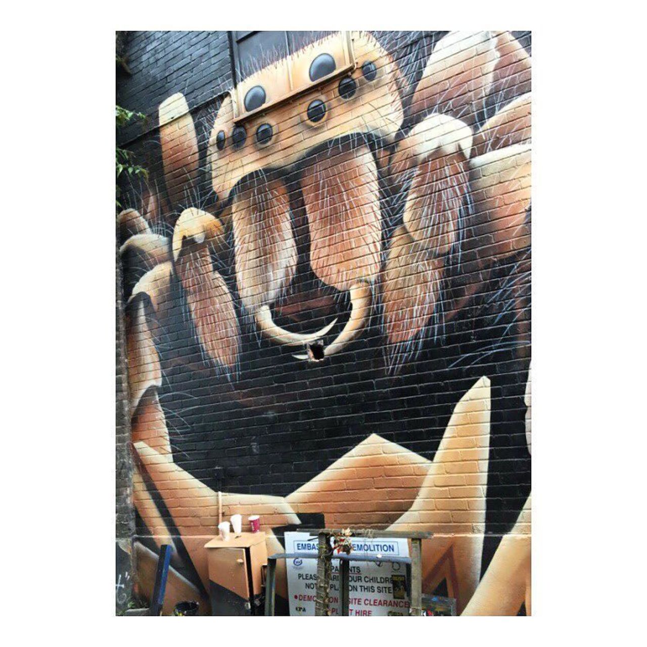 Coming to tickle youuu  #halloweenspirit #streetart #graffiti #spider #mural #wallmural #spraypaint #paint #stenci… https://t.co/EQBaXMehCN