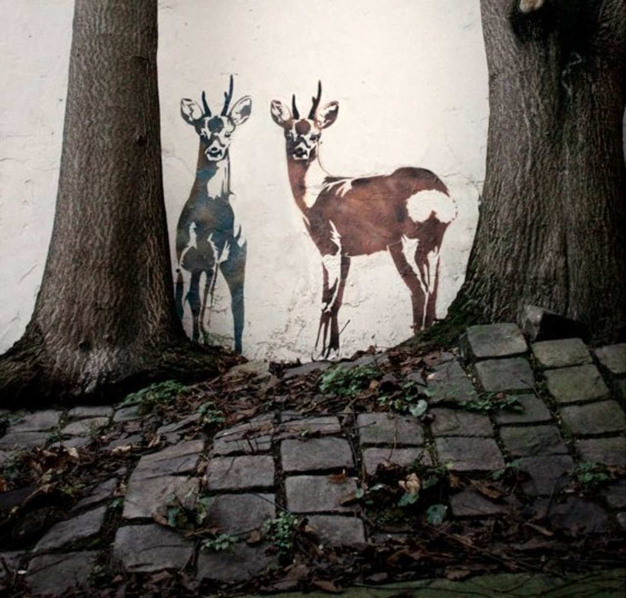 Urban Jungle • #streetart #graffiti #art #funky #nature #dope . : https://t.co/J3N83LFfCx