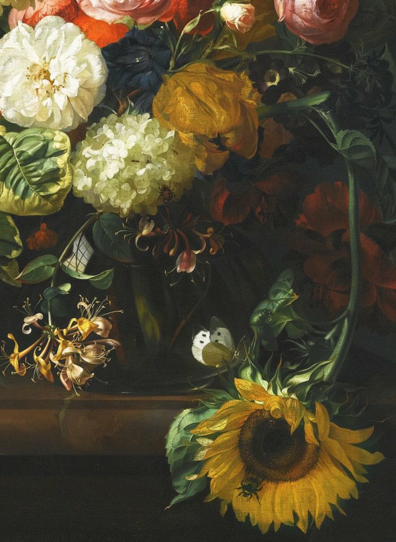Rachel RuyschDetail from Flower Still Life, 1710 https://t.co/NKx35gNNug
