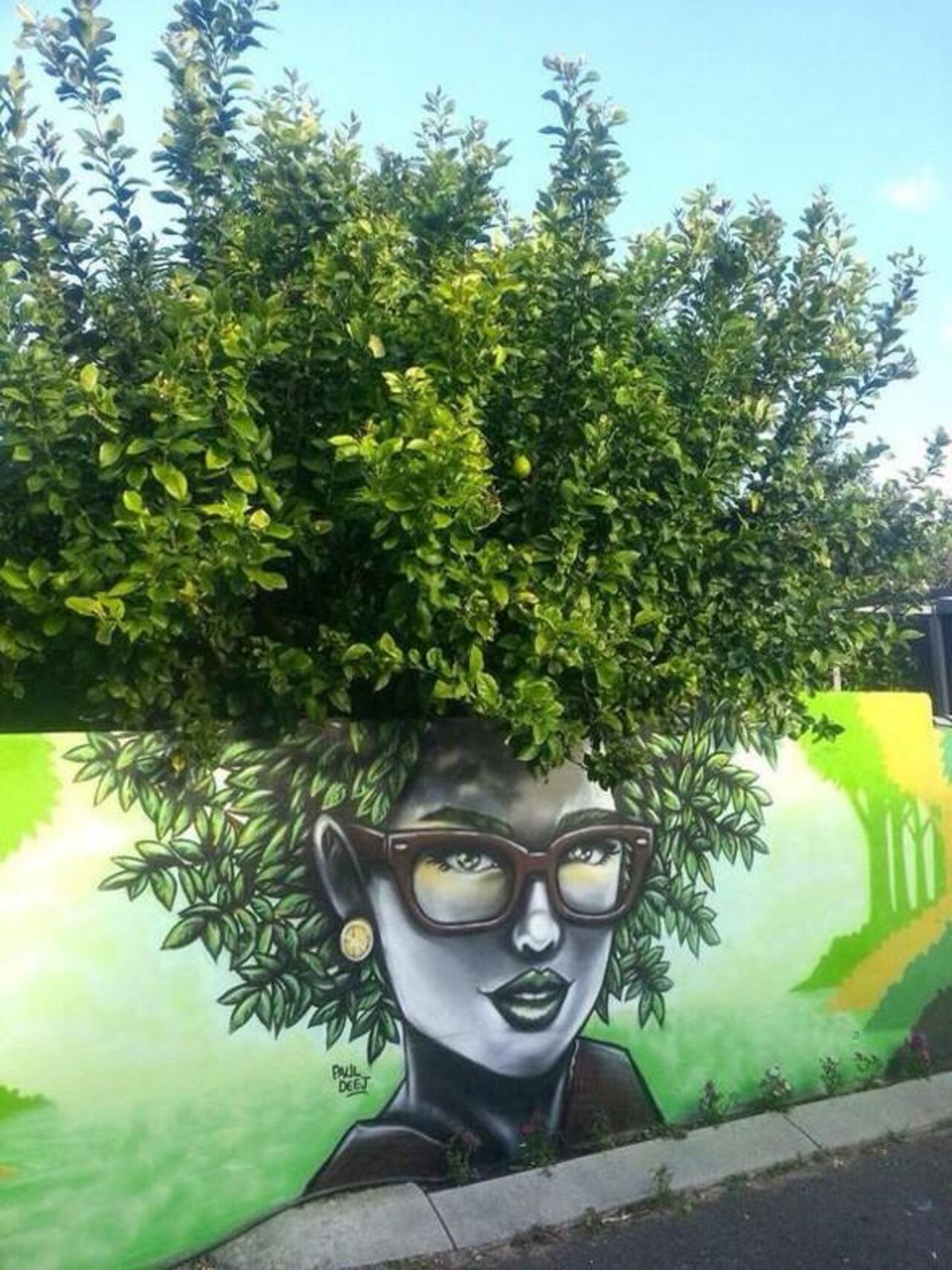 When Street Art meets Nature - Perth, Australia https://t.co/UI9H36pRCn #streetart #mural #graffiti #art