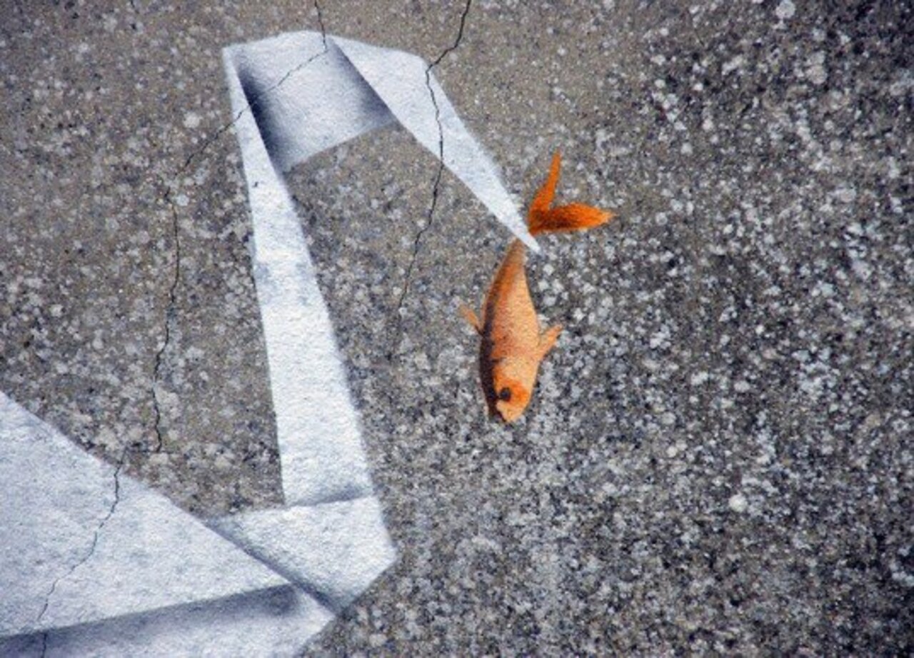 Origami Swan & Goldfish    •     #streetart #graffiti #art  . : https://t.co/BZx1kYmrkD