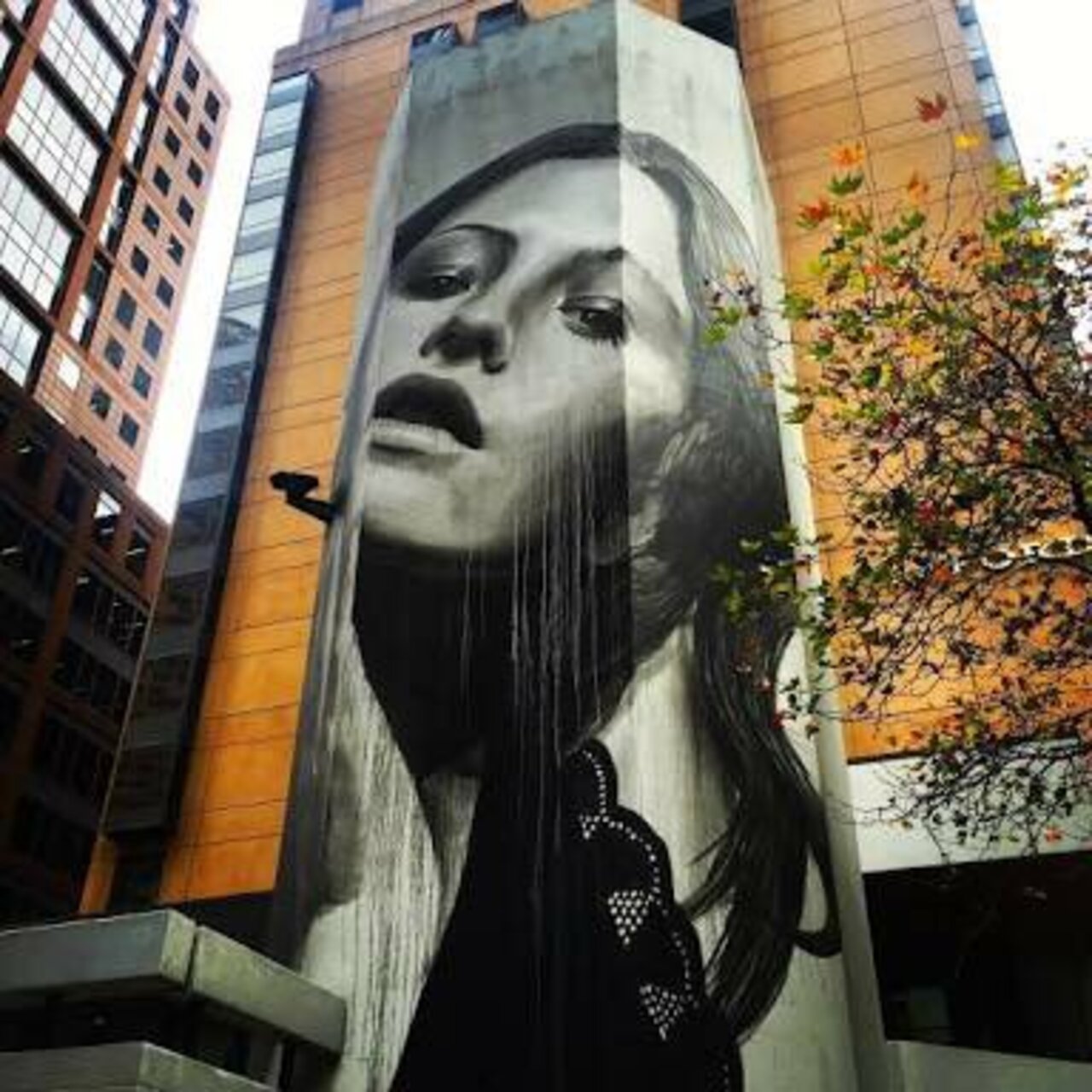 Mural by Rone, Melbourne, Australia #Streetart #urbanart #graffiti #mural #art #Melbourne #Australia https://t.co/VamyoIySsk