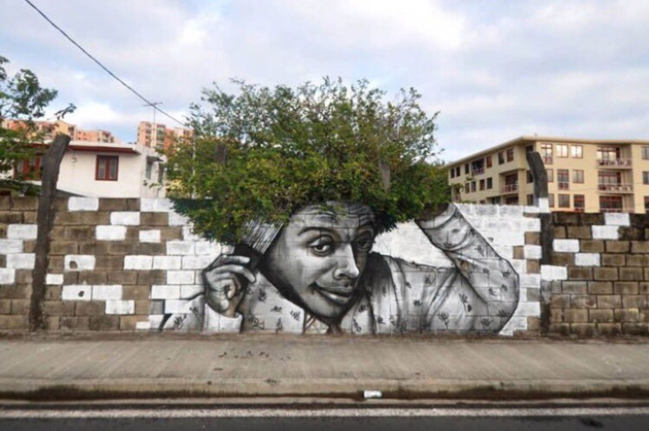 CLEVER USE OF FOLIAGE#streetart #mural #graffiti #art https://t.co/fkh7a2qpPS