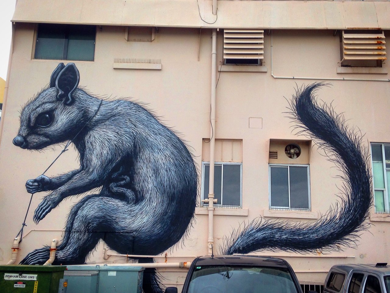 Mural by Roa, Townsville, Australia #Streetart #urbanart #graffiti #mural #art #Townsville #Australia https://t.co/jj5YPKwGcS