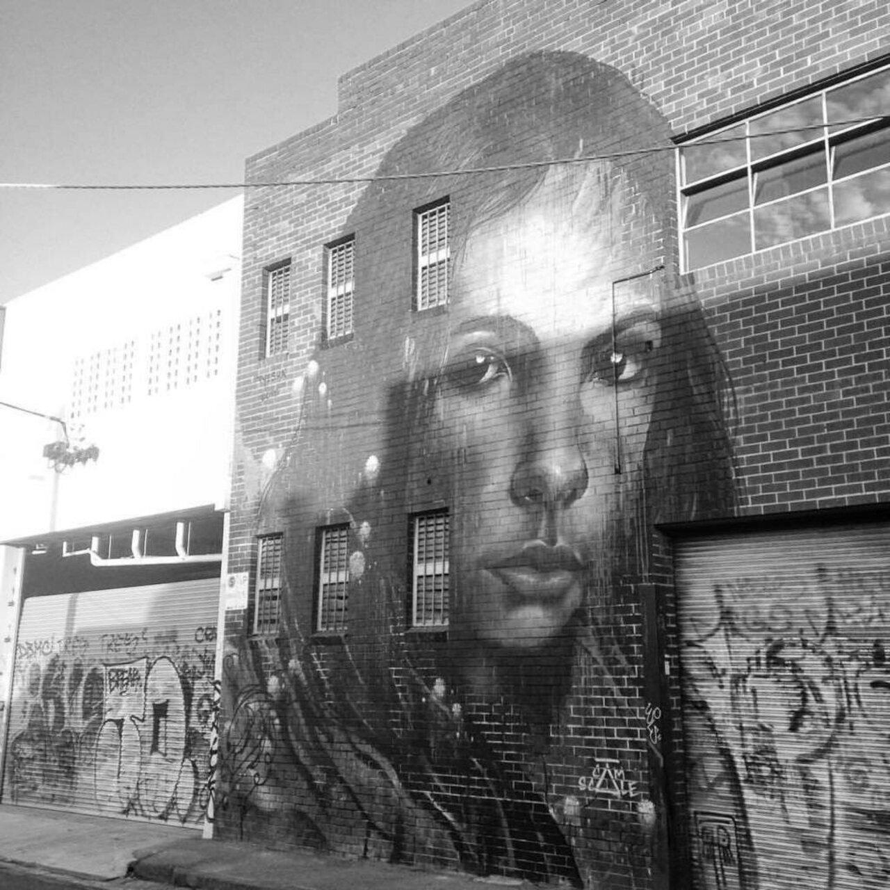 Melbourne, Australia #mural #Streetart #urbanart #graffiti #mural #art #Melbourne #Australia https://t.co/okDHytA1Yl
