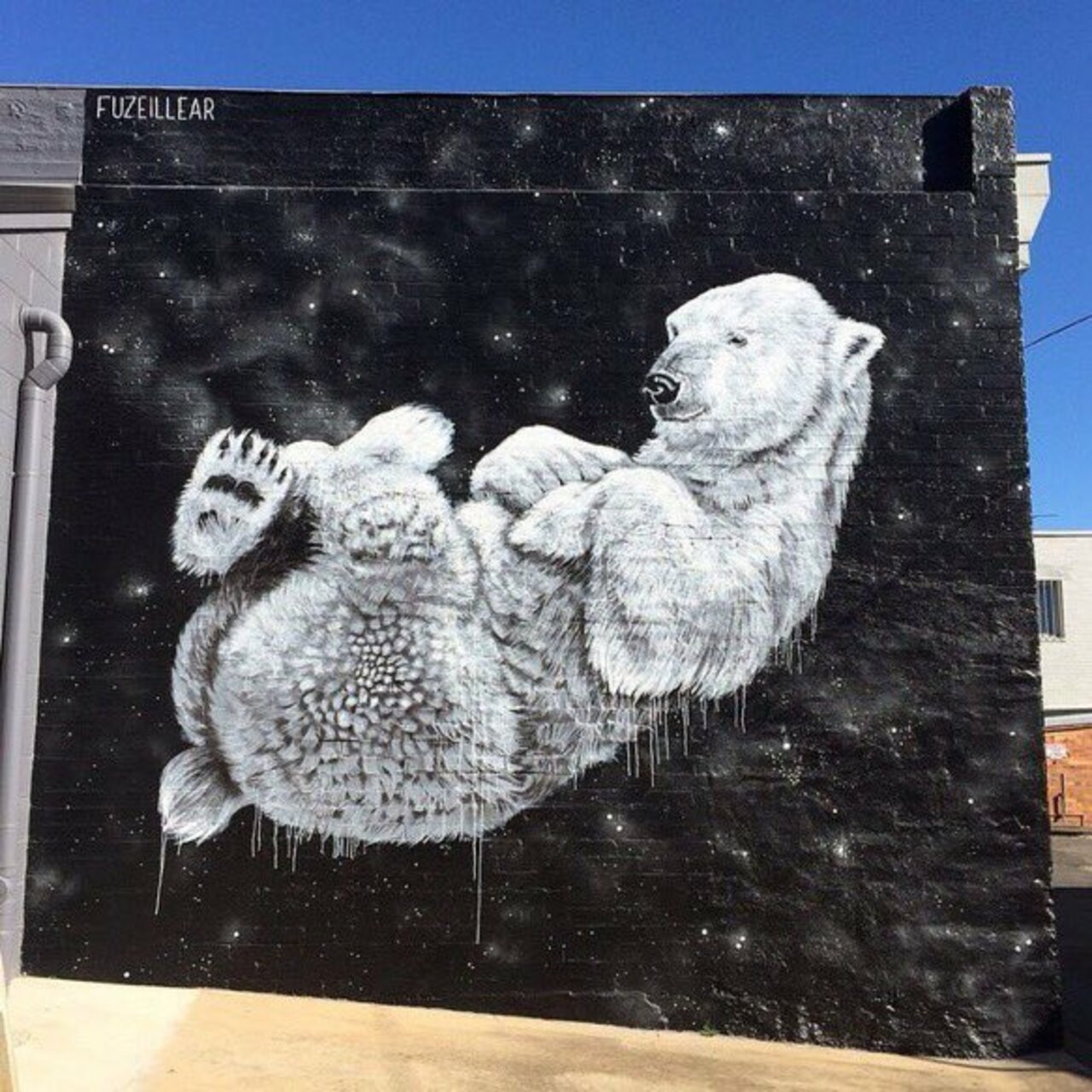 Mural by Fuzeillear, Toowoomba, Australia #Streetart #urbanart #graffiti #mural #art #Toowoomba, #Australia https://t.co/BxJ8rAePTU