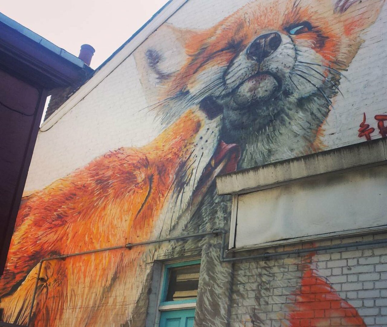Saw some rather lovely #foxy #graffiti today!  #Walthamstow #London #fox #street #art https://t.co/uXvOKSyMpR