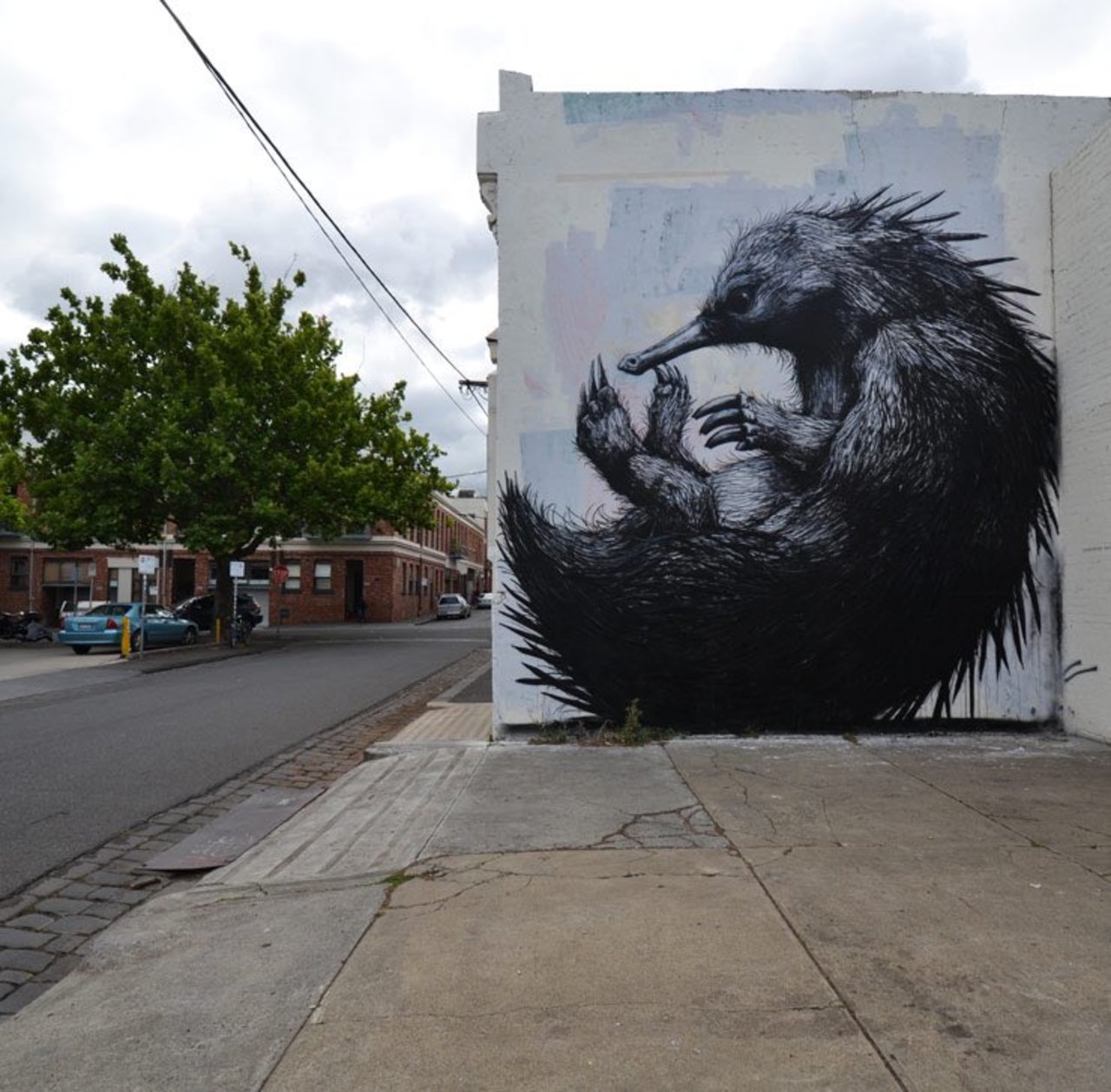 #mural by ROA, #Melbourne #Australia #Streetart #urbanart #graffiti #art https://t.co/pG7OakfqtZ