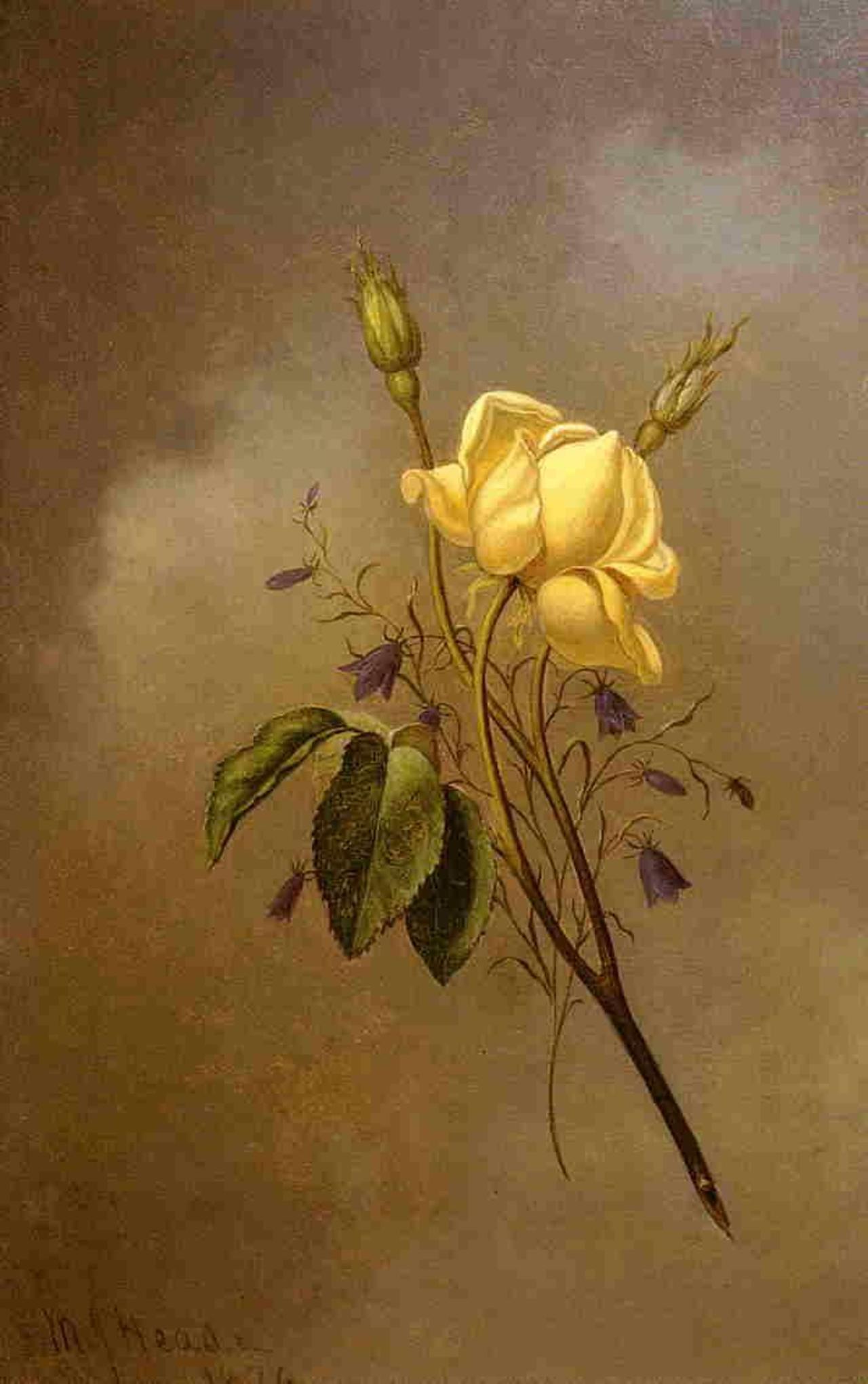 RT @Helisabethhh: ... Rose against a Cloudy Sky  Martin Johnson Heade (1819-1904)#art #painting #twitart https://t.co/fcrANYqHs3